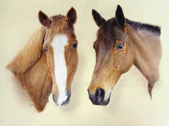 Tableau questre des chevaux Douchka et Ohlescoeurs